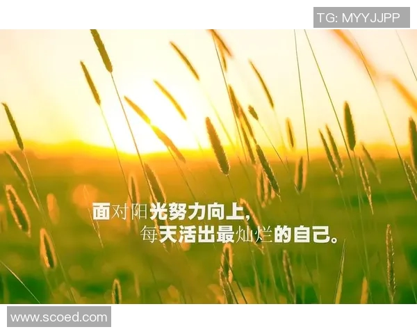 程帅澎的奋斗历程与成长故事探寻他在时代洪流中的坚韧与追求 程帅澎的奋斗历程与成长故事探寻他在时代洪流中的坚韧与追求