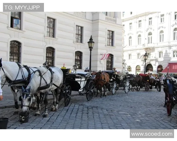 德国与奥地利精彩赛事直播全程回顾与分析尽在这里 德国与奥地利精彩赛事直播全程回顾与分析尽在这里