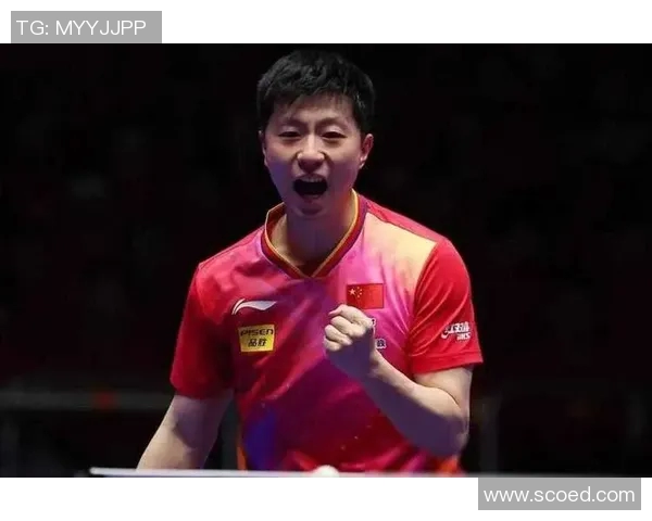 马尔科-查卡莱维奇CBA生涯惊艳表现引球迷热议