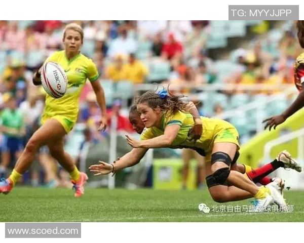 沙佩科与帕尔梅激战正酣谁能在这场对决中笑到最后 沙佩科与帕尔梅激战正酣谁能在这场对决中笑到最后