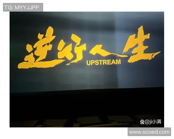 马晓磊:从平凡到卓越的奋斗历程与人生启示 马晓磊:从平凡到卓越的奋斗历程与人生启示