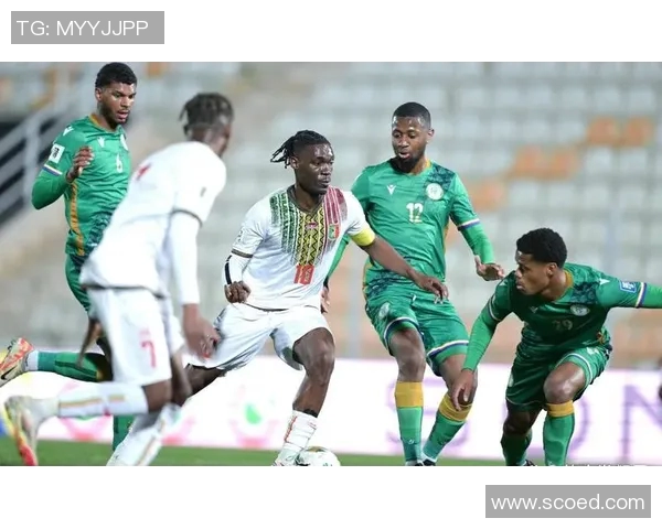 南非世法国对决南非球队精彩回顾与赛后分析